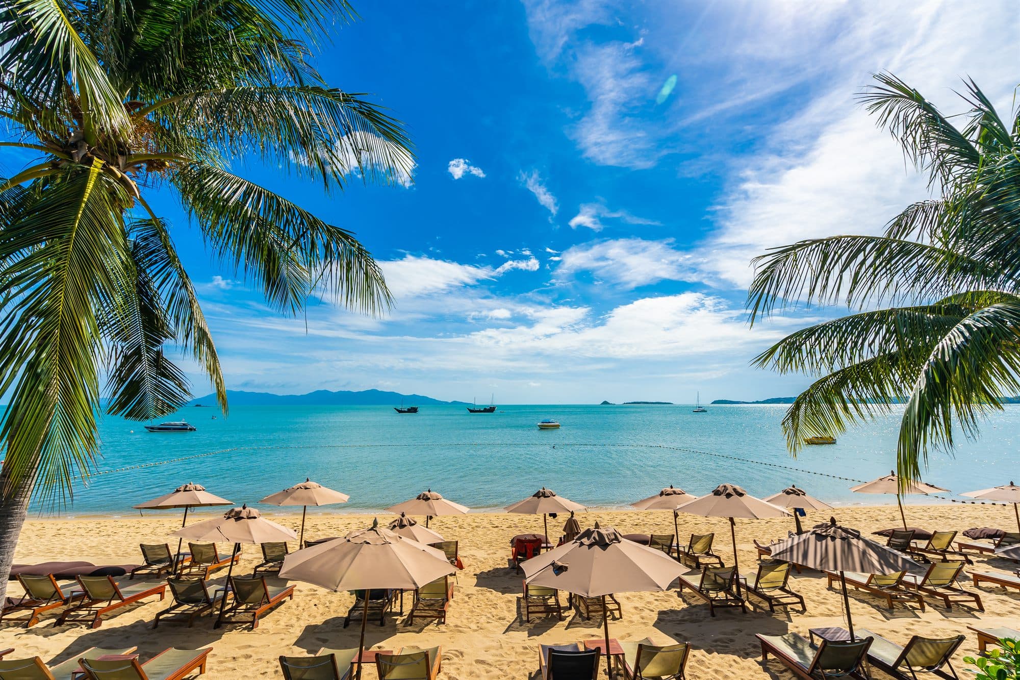 Zanzibar — November